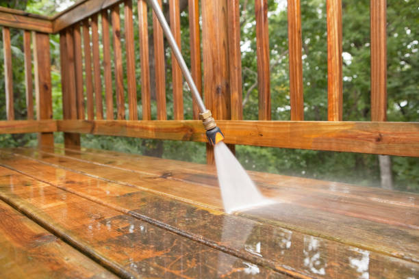 Best Gutter Cleaning  in Eaton Rapids, MI
